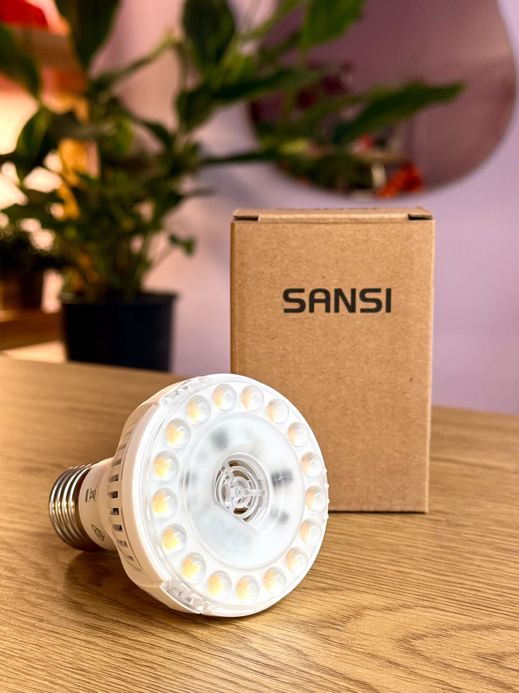 Sansi Led 10W