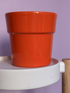 Orange d12