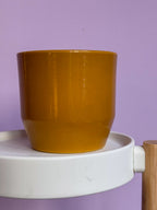 Dark yellow d11