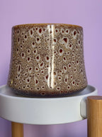 Mushroom pot d13