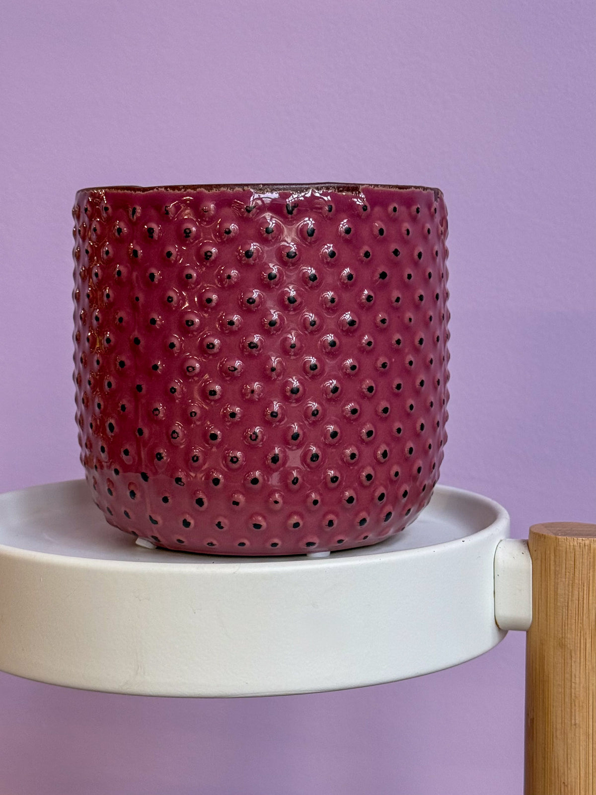 Cherry black spots pot d12