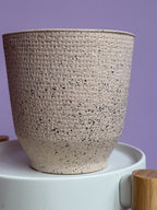 White terracota d13