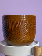 Brown d15