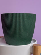 Green plastic d13